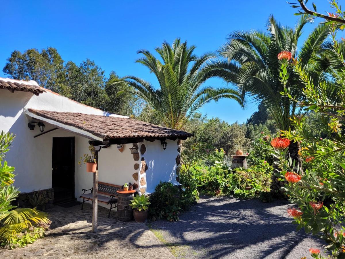 Finca Llano De La Cebolla Icod De Los Vinos Extérieur photo
