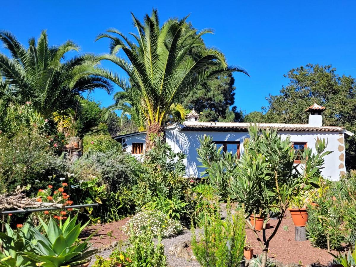 Finca Llano De La Cebolla Icod De Los Vinos Extérieur photo
