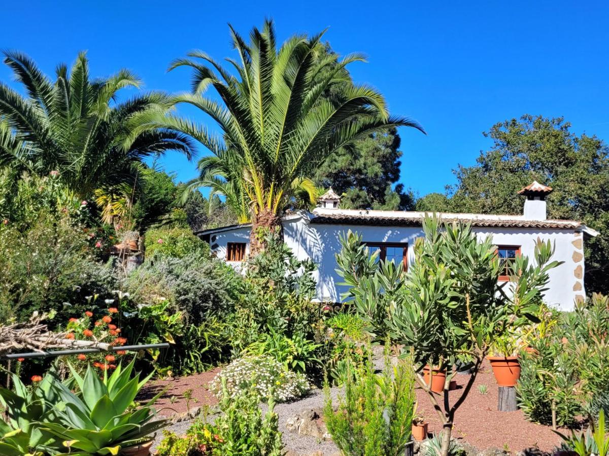 Finca Llano De La Cebolla Icod De Los Vinos Extérieur photo
